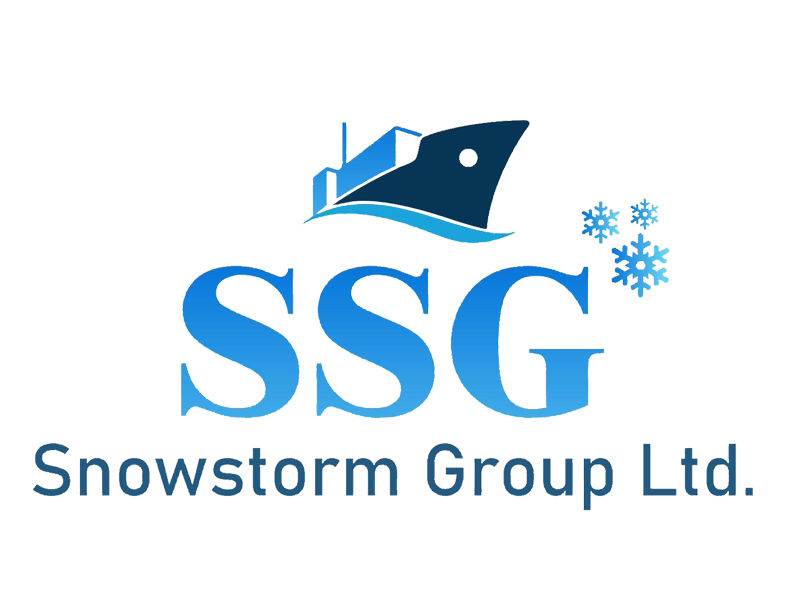 SNOWSTORM GROUP — YOUR COMPLETE IMPORT & LOGISTICS PARTNER